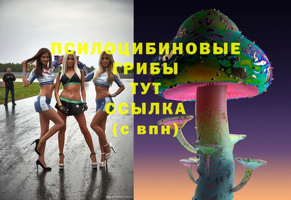 прущий лед Алексин