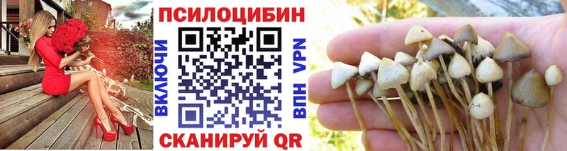 Псилоцибиновые грибы Cubensis  Михайловск 